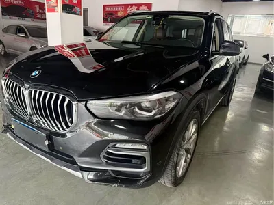 2019 BMW X5 (Import) xDrive30i X Design Package, фото 2, лот 11180679