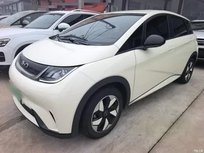 2025 BYD Dolphin 420km Freedom Edition, фото 1, лот 11177936