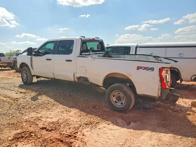 2025 FORD F250 SUPER DUTY, фото 2, лот 11590006