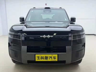 2026 Byd Titanium 7, фото 2, лот 10828724