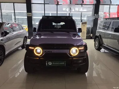 2025 iCAR V23 501 4WD Intelligent Driving Edition, фото 3, лот 11133768