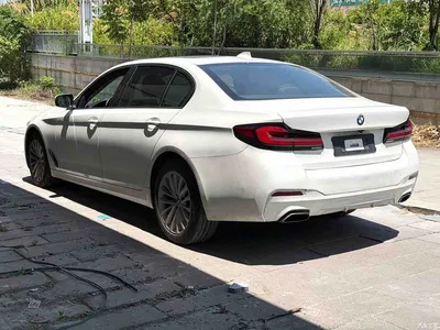 2019 BMW 5 Series 530Li Leading Luxury Package, фото 4, лот 11206582