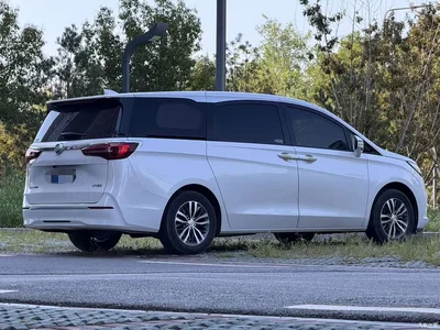 2021 Buick GL8 ES Landlord 653T Comfort, фото 4, лот 10253578