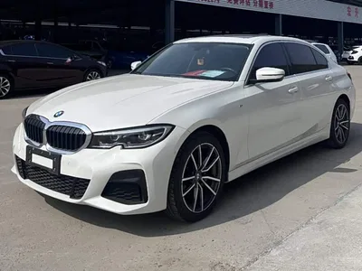 2021 BMW 3 Series 320Li M Sport Package, фото 2, лот 10457930