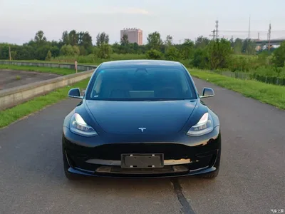 2019 Tesla Model 3 Standard Range Rear-Wheel Drive Upgrade, фото 2, лот 10357393