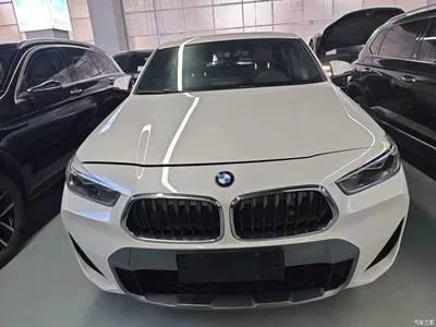 2021 BMW X2 sDrive25i Leading M Off-Road Package, фото 3, лот 10475509
