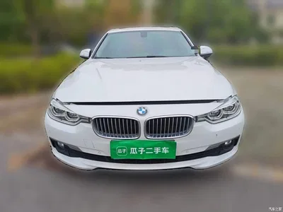 2018 BMW 3 Series 320Li Fashion Style, фото 3, лот 11095526