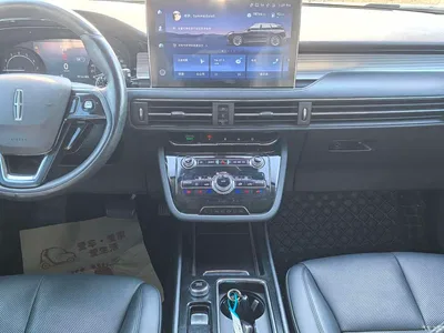 2020 Lincoln Adventurer 2.0T 2WD Premium Enjoyment Edition, фото 4, лот 10357712