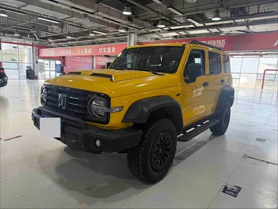 2024 Tank 300 Model 330 3.0T V6, фото 1, лот 11012651