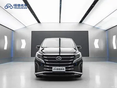 2021 GAC Trumpchi Trumpchi M8 Leading Show Series 390T Prestige Edition, фото 2, лот 10606266