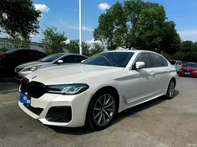 2018 BMW 5 Series 528Li Launch Special Edition, фото 2, лот 10818467