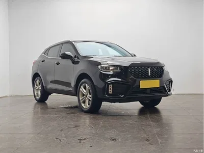 2020 WEY VV5 1.5T 2WD Style Pioneer, фото 2, лот 10450850