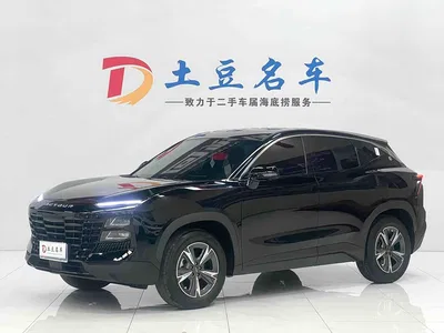 2023 Jetour Dasheng 1.5T DCT Starlight PRO, фото 1, лот 10831084