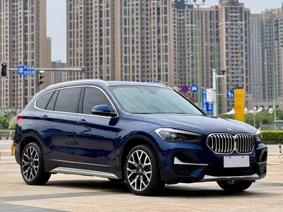 2020 BMW X1 xDrive25Li Premium Edition, фото 3, лот 10466577