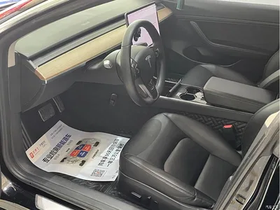 2020 Tesla Model 3 Standard Range Rear-Wheel Drive Upgrade, фото 4, лот 10350572