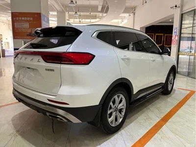 2021 Haval H6 Model National Trend Edition 1.5T Auto Champion, фото 4, лот 10282367