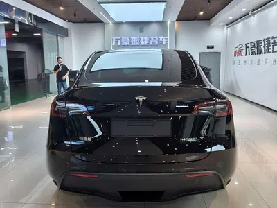 2023 Tesla Model Y Rear-Wheel Drive Edition, фото 3, лот 11199048