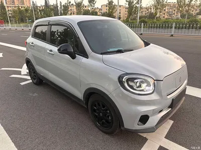 2023 Leapmotor T03 403 Light Edition, фото 2, лот 10314494