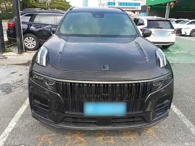 2021 Lynk & Co 09 2.0T Halo 7-seater, фото 3, лот 10314115
