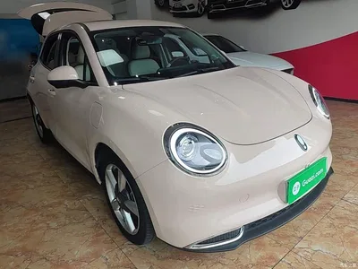 2023 Ora Good Cat GT Mulan Edition 401km Premium Model, фото 4, лот 10836504