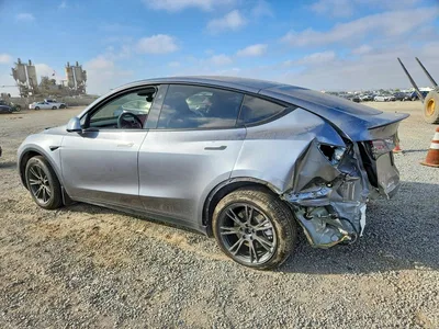 2024 TESLA MODEL Y, фото 2, лот 10855104