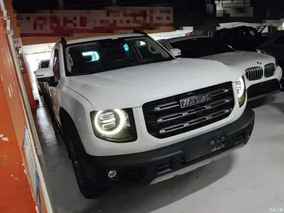 2021 Haval Big Dog Facelift 2.0T DCT AWD Howling Celestial Dog Edition, фото 4, лот 10361278