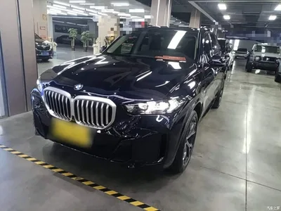 2023 BMW X5 xDrive 30Li Premium M Sport Black Night Package, фото 1, лот 10671691