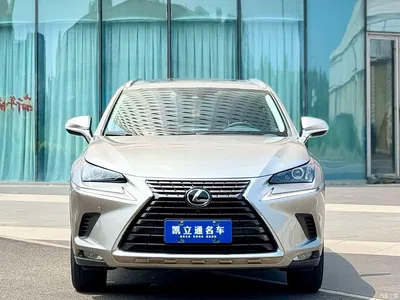 2020 Lexus NX 200 AWD F Sport China VI, фото 2, лот 10313295