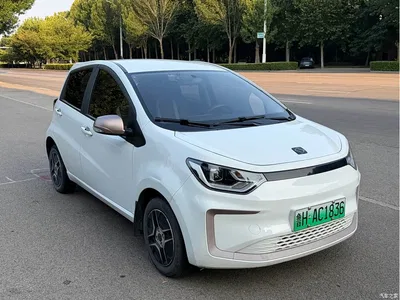 2021 Sehol Flower Fairy 302km Luxury 30.2kWh, фото 3, лот 11153515