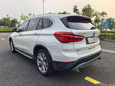 2018 BMW X1 sDrive20Li Leading Model, фото 4, лот 10409550