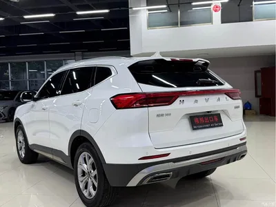 2021 Haval H6 Model 1.5T Automatic Champion Edition, фото 4, лот 11580276