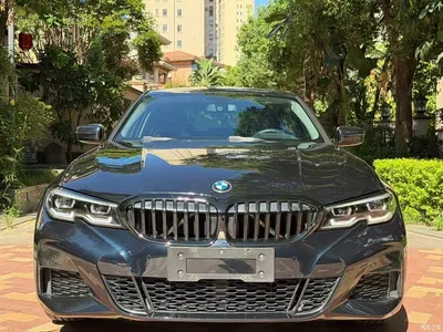 2022 BMW 3 Series 320Li M Sport Package, фото 2, лот 11241341
