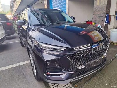 2022 Changan Oshan X7 PLUS 1.5T Blue Whale Edition Auto Executive, фото 4, лот 10409465