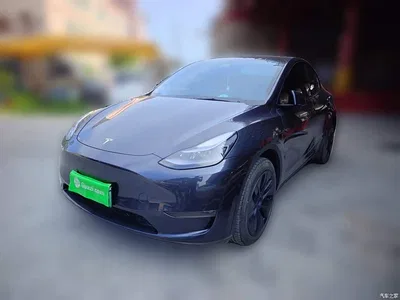 2024 Tesla Model Y Long Range AWD, фото 1, лот 10370722