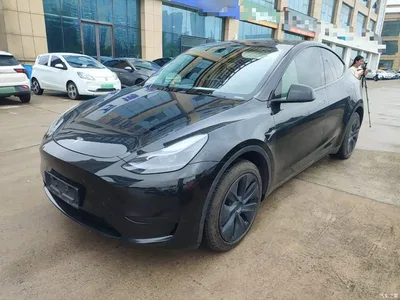 2024 Tesla Model Y Rear-Wheel Drive Version, фото 1, лот 11211292