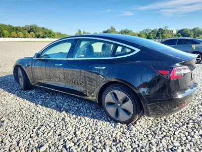 2019 TESLA MODEL 3, фото 2, лот 10856873