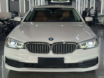 2019 BMW 5 Series (Import) Facelift 525i M Sport Package, фото 2, лот 10474482