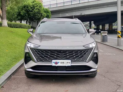 2023 Roewe RX9 2.0T 2WD Premium Edition, фото 2, лот 10900532