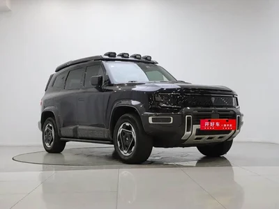 2025 Deepal Deep Blue G318 Worry-free Cross Country 4WD Mountain Edition, фото 3, лот 11645886