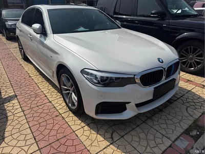 2020 BMW 5 Series 525Li M Sport Package, фото 3, лот 11211535