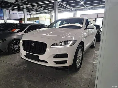 2019 Jaguar F-PACE 2.0T 4WD Urban Premium Edition, фото 1, лот 10662009