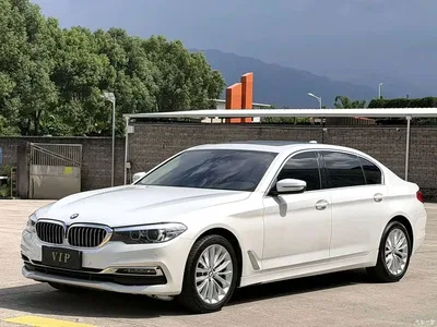 2019 BMW 5 Series 530Li Leading Luxury Package, фото 2, лот 10629715