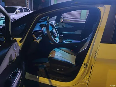 2024 BYD Dolphin Glory Edition 420km Fashion Edition, фото 4, лот 11203788