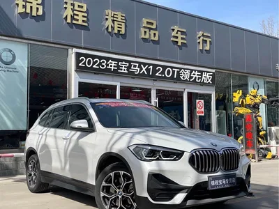 2022 BMW X1 sDrive25Li Leading, фото 1, лот 10466768