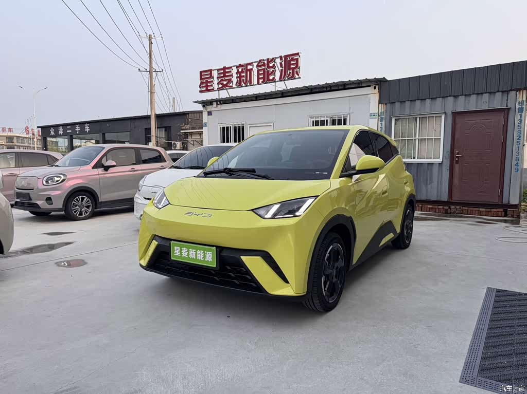 2023 BYD Seagull Flying Edition, фото 1, лот 11230539