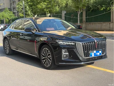 2025 Hongqi H5 2.0T Automatic Flag Celebration 500,000 Units Anniversary Edition, фото 3, лот 10287818