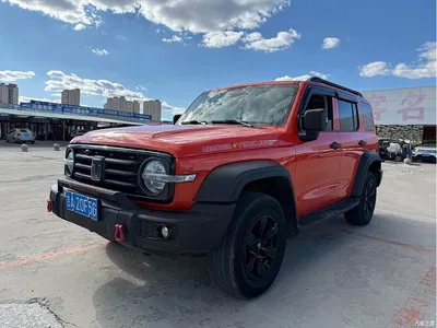 2023 Tank 300 Off-Road Edition 2.0T Conqueror, фото 1, лот 11568179