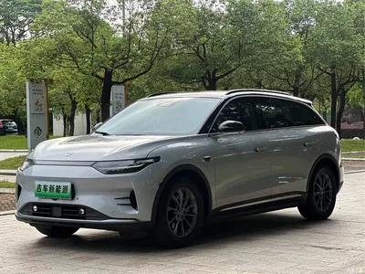 2021 Leapmotor C11 Luxury Edition, фото 1, лот 10444173
