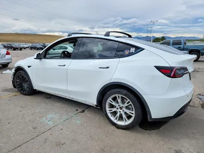 2020 TESLA MODEL Y, фото 2, лот 11279752