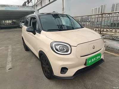 2022 Leapmotor T03 Pearl Edition, фото 4, лот 10894188